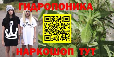 гашишное масло Гусев